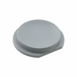 10 pcs : 10G03 - ROUND TACT SWITCH CAP GRY