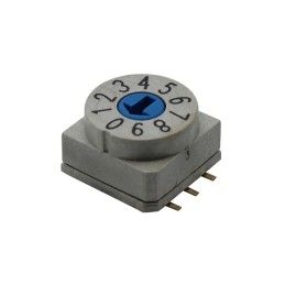 10 pcs : RD10RA10CGT - SW ROTARY DIP BCD COMP 0.15A 50V