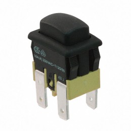 10 pcs : PA41EC1100 - SWITCH PUSH DPST-NO 16A 125V