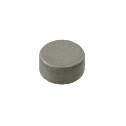 10 pcs : 8997 - MAGNET 0.236'D X 0.118'THICK CYL