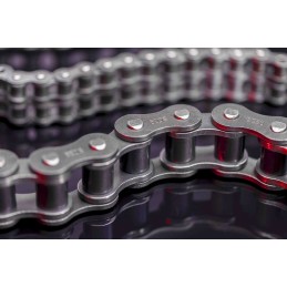 1 pcs - Sedis 16B-1 Simplex Roller Chain, 5m, ALPHA