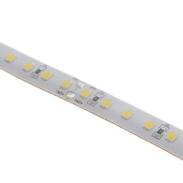 10 pcs : AB-FC02450-19700-8A1 - LED MOD AB-FC WH LNR STRP 5000K