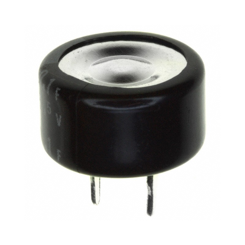 10 pcs : RSCBN1045R5G07014T - CAP 100MF -20% +80% 5.5V T/H