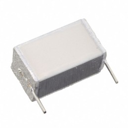 10 pcs : B32562J3105K289 - CAP FILM 1UF 10% 250VDC 2DIP