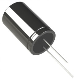 10 pcs : REA1321101M100K - SERIES: REA/ CASE: 1321/ CAP: 10