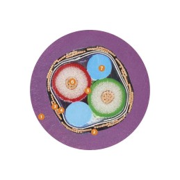 10 pcs - EPCOS B32912 Polypropylene Film Capacitor, 330V ac, ±20%, 220nF, Through Hole