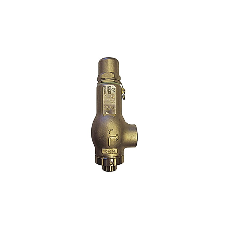 1 pcs - TOSACA 4bar Pressure Relief Valve With BSP 1 in BSP Connection and a BSP 1 Exhaust Port
