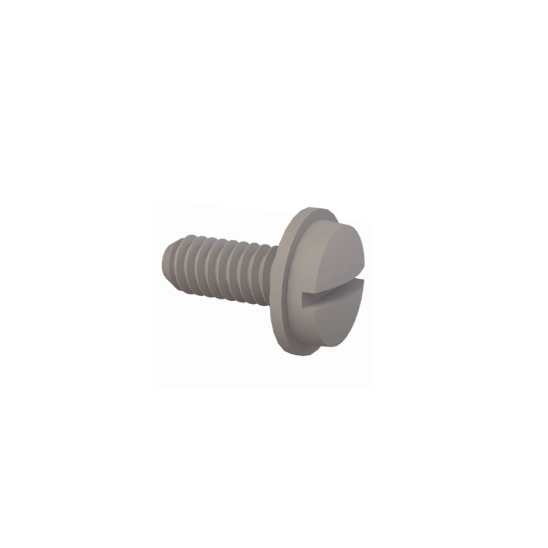 10 pcs : 012520LP062 - SLOTTED ROUND WASHER SCREW 1/4-2