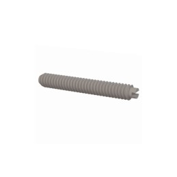 10 pcs : 012520S150 - SET SCREW SLOTTED HEAD 1/4-20 TH