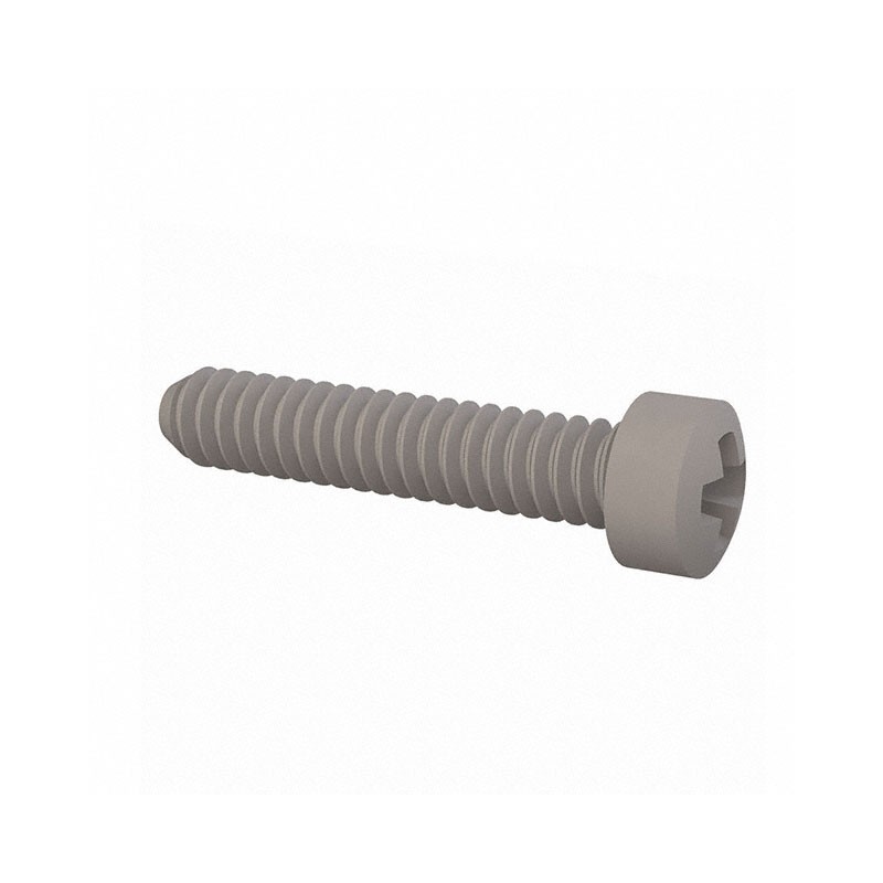 10 pcs : 010440WF056 - FILLISTER PHILLIPS SCREW 4-40 TH
