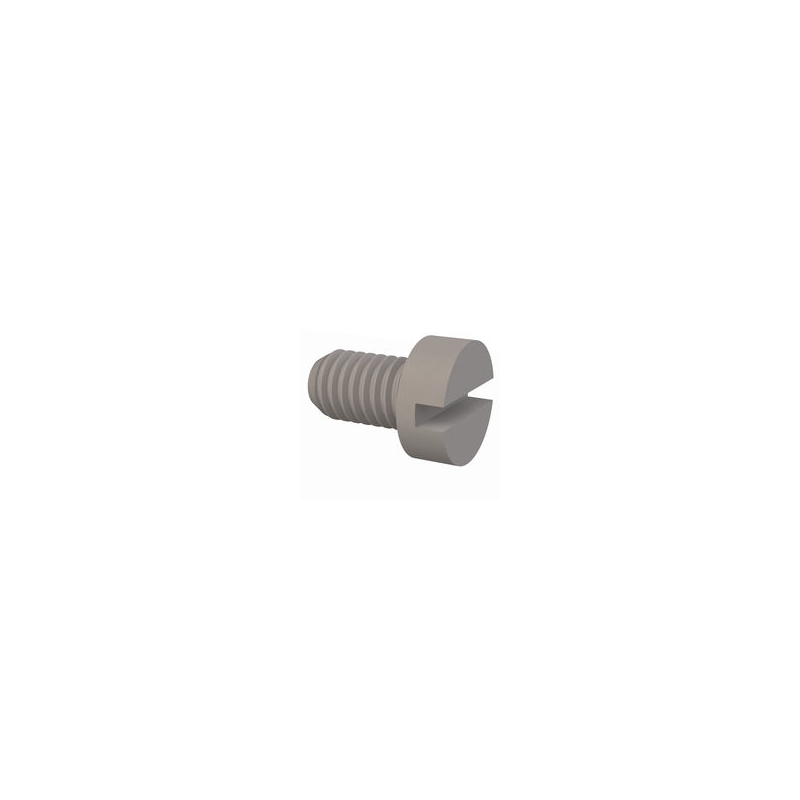 10 pcs : 50M060100D010 - CHEESE SLOTTED SCREW, M6 X 1 THR