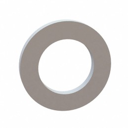 10 pcs : 17W02953 - FLAT WASHER, .190 ID, .310 OD, .