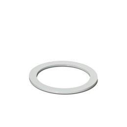 10 pcs : 1411287 - FLAT GASKET