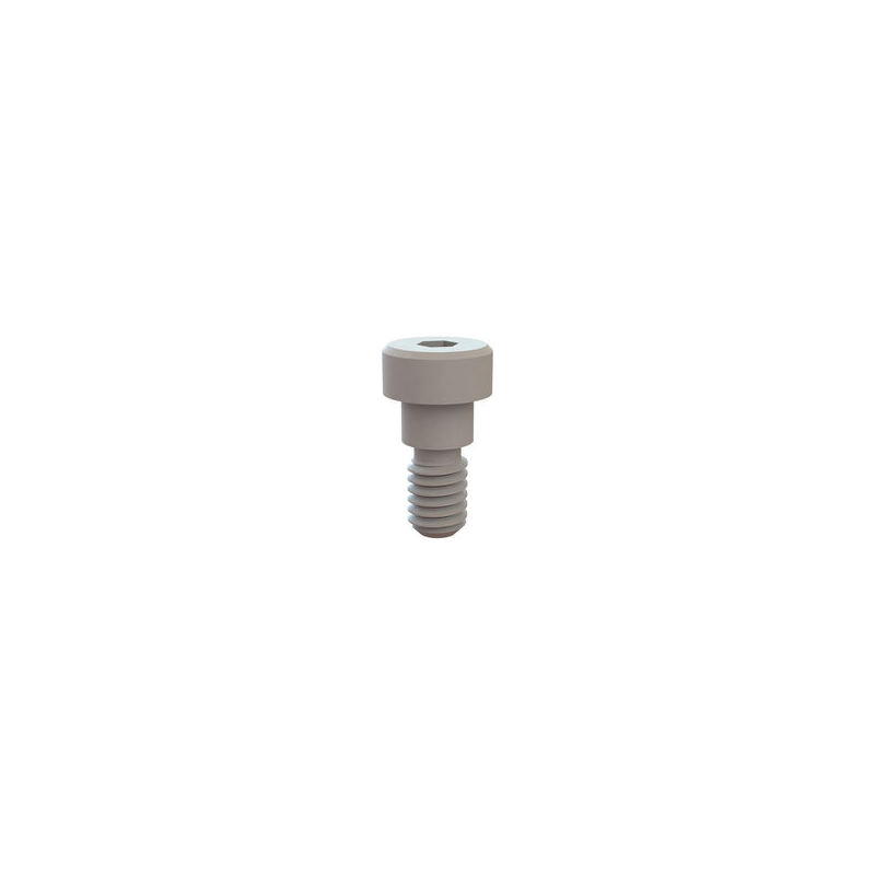 10 pcs : 31037025 - SHOULDER SCREW, HEX SOCKET, 5/16