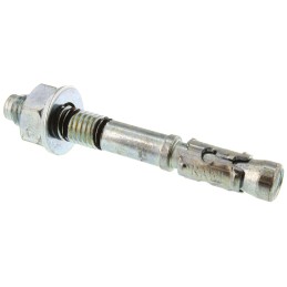 1 Pack of 10 - RawlPlug Steel Bolt Anchor 10mm x 80mm, 10mm Fixing Hole