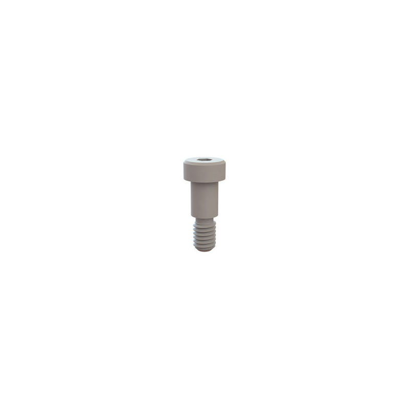 10 pcs : 31037050 - SHOULDER SCREW, HEX SOCKET, 5/16