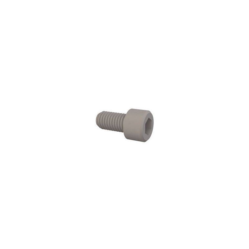 10 pcs : 50M100150S019 - HEX SOCKET CAP SCREW, M10 X 1.5