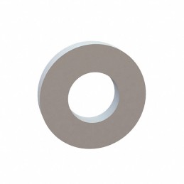 10 pcs : 17W09902 - FLAT WASHER, .485 ID, 1.003 OD,