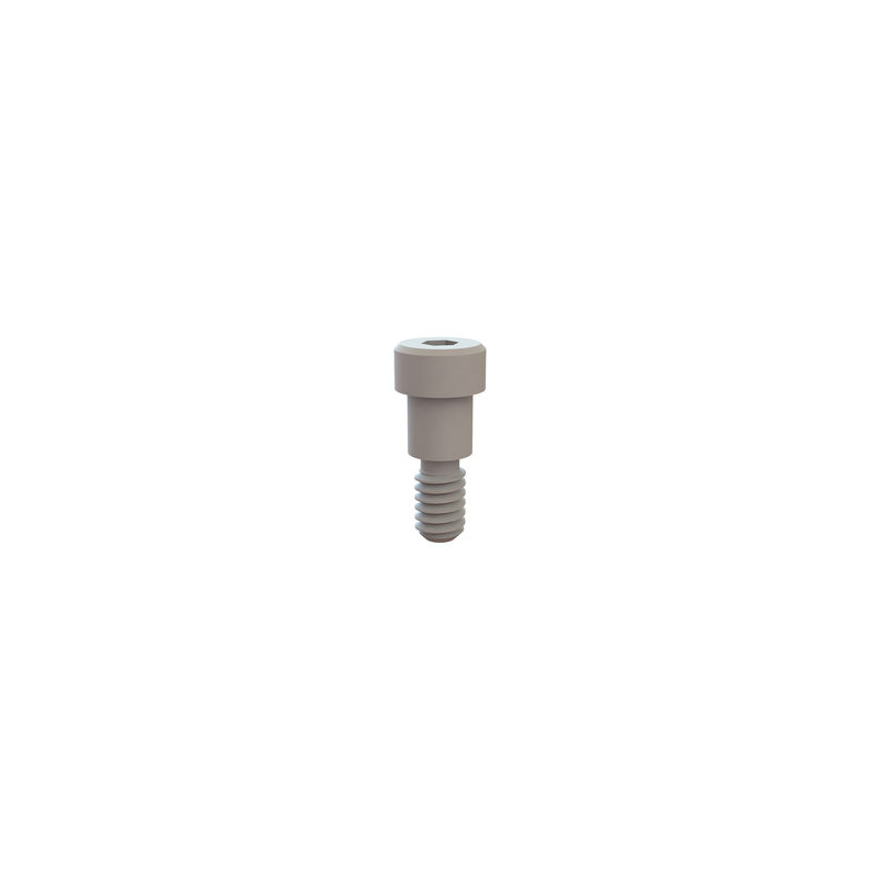 10 pcs : 31031031 - SHOULDER SCREW, HEX SOCKET, 1/4-