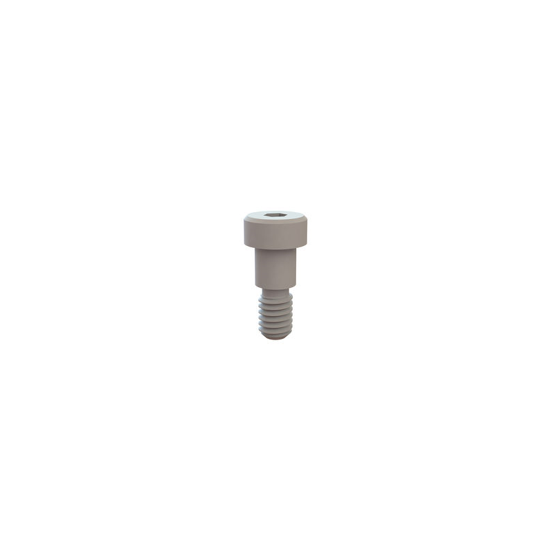 10 pcs : 31037037 - SHOULDER SCREW, HEX SOCKET, 5/16