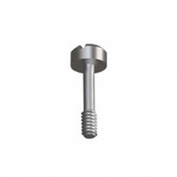 10 pcs : 2416 - SHLDR SCREW CHEESE SLOTTED 6-32