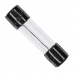 10 pcs : 0034.3111 - FUSE GLASS 250MA 250VAC 5X20MM