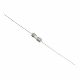 10 pcs : 8020.0504.PT - FUSE CERAMIC 100MA 250VAC AXIAL
