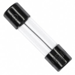 10 pcs : 0034.3109 - FUSE GLASS 160MA 250VAC 5X20MM