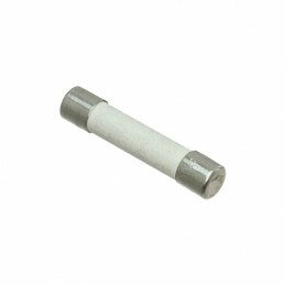 10 pcs : 8020.0605.G - FUSE CERAMIC 20A 250VAC 3AB 3AG