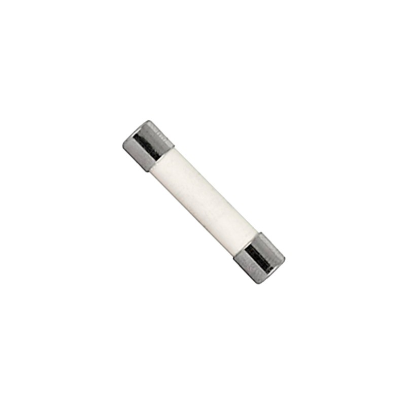 10 pcs : 8020.0607 - FUSE CERAMIC 30A 250VAC 3AB 3AG