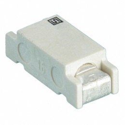 10 pcs : 3403.0119.11 - FUSE BOARD MOUNT 2A 250VAC 2SMD