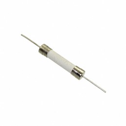 10 pcs : 8020.0608.H.PT - FUSE CERM 40A 250VAC 80VDC 3AB