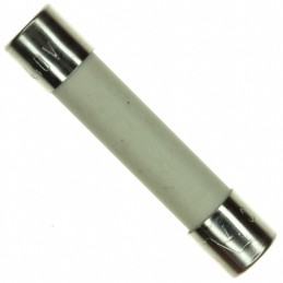 10 pcs : 35608000029 - FUSE CERM 800MA 440VAC 3AB 3AG