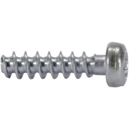 10 pcs : 09060019974 - DIN-POWER-SCREW FOR PLASTIC 2 2X