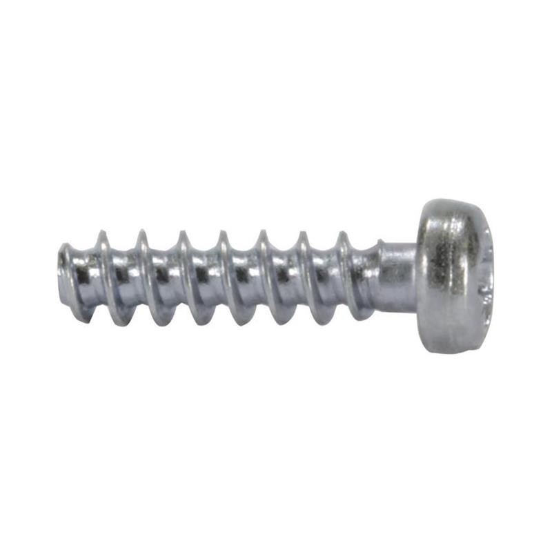10 pcs : 09060019974 - DIN-POWER-SCREW FOR PLASTIC 2 2X