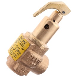 1 pcs - 8888 4bar Pressure Relief Valve With Female BSP 1/2 in BSP Female Connection and a BSP 1/2 Exhaust Port
