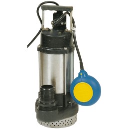 1 pcs - W Robinson And Sons 110 V Direct Coupling Submersible Submersible Water Pump, 240L/min